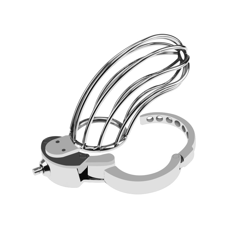 Large Adjustable Metal Male Chastity Cage – Secure Locked Penis Cage with 2 Keys Included, Silver