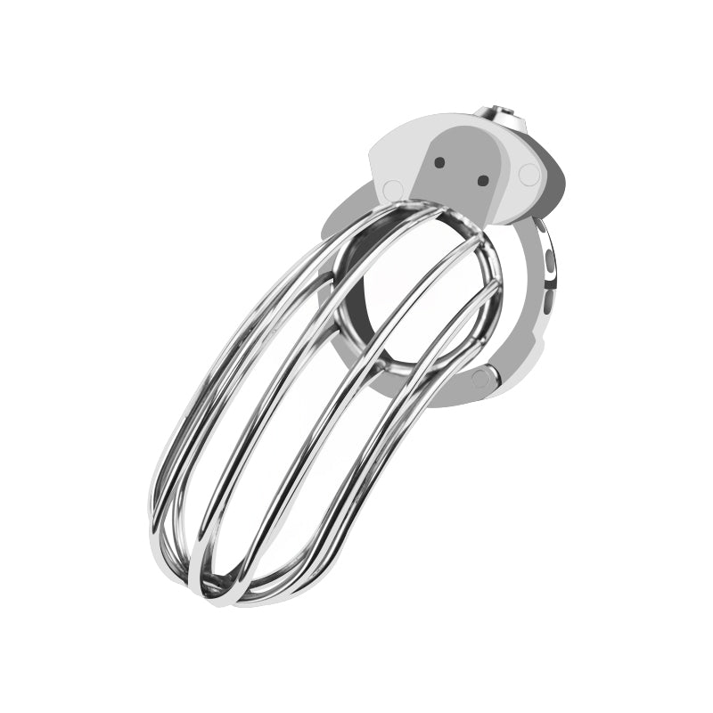 Large Adjustable Metal Male Chastity Cage – Secure Locked Penis Cage with 2 Keys Included, Silver