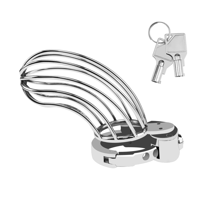 Large Adjustable Metal Male Chastity Cage – Secure Locked Penis Cage with 2 Keys Included, Silver