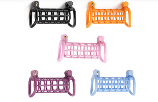 Double chicken cage chastity lock