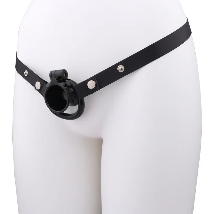 3D Printed Resin Hourglass Male Chastity Cage