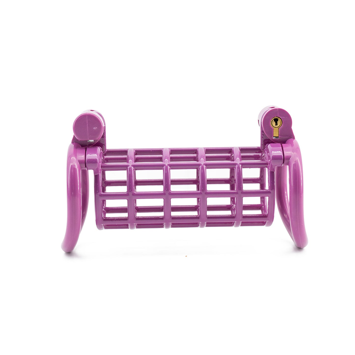 Double chicken cage chastity lock