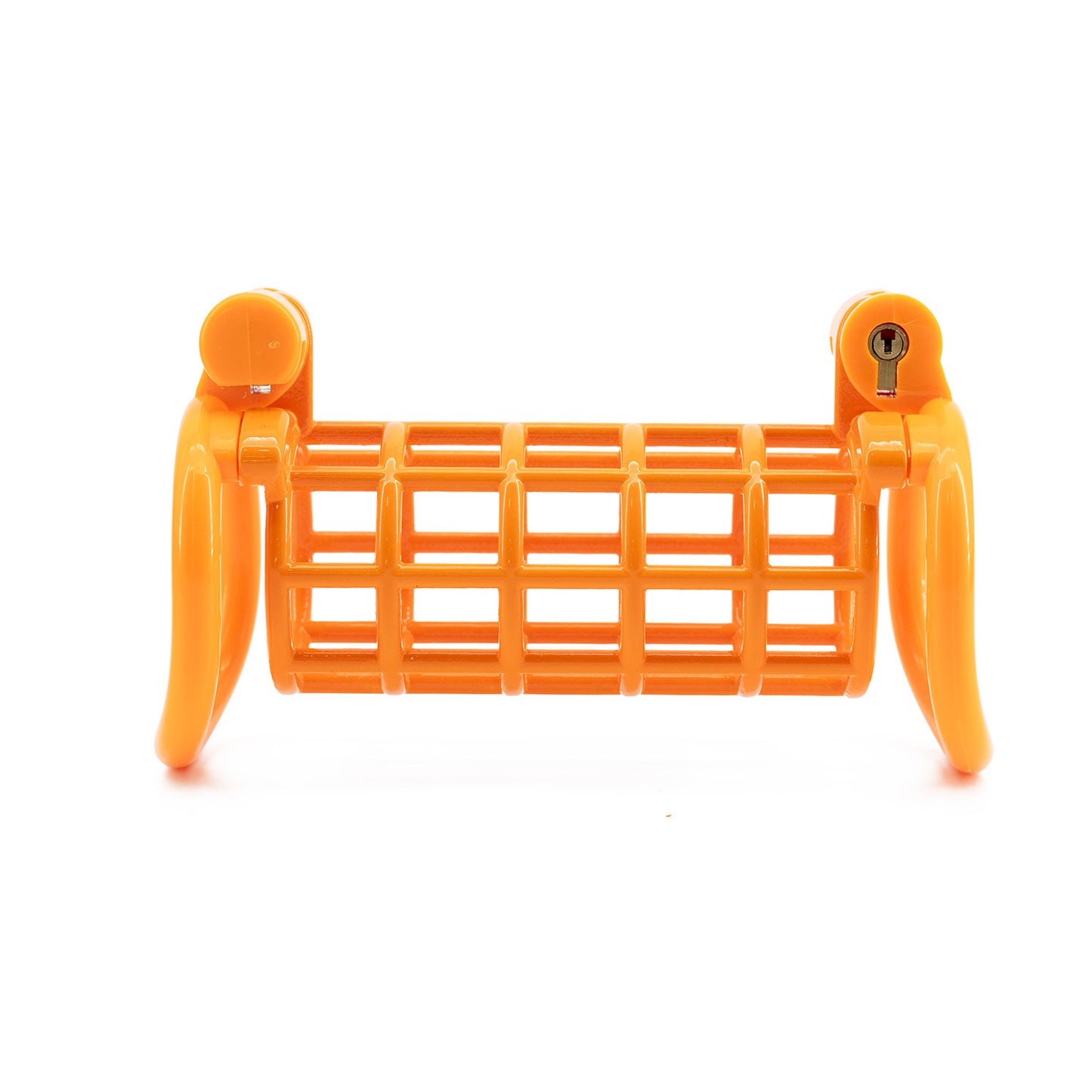 Double chicken cage chastity lock