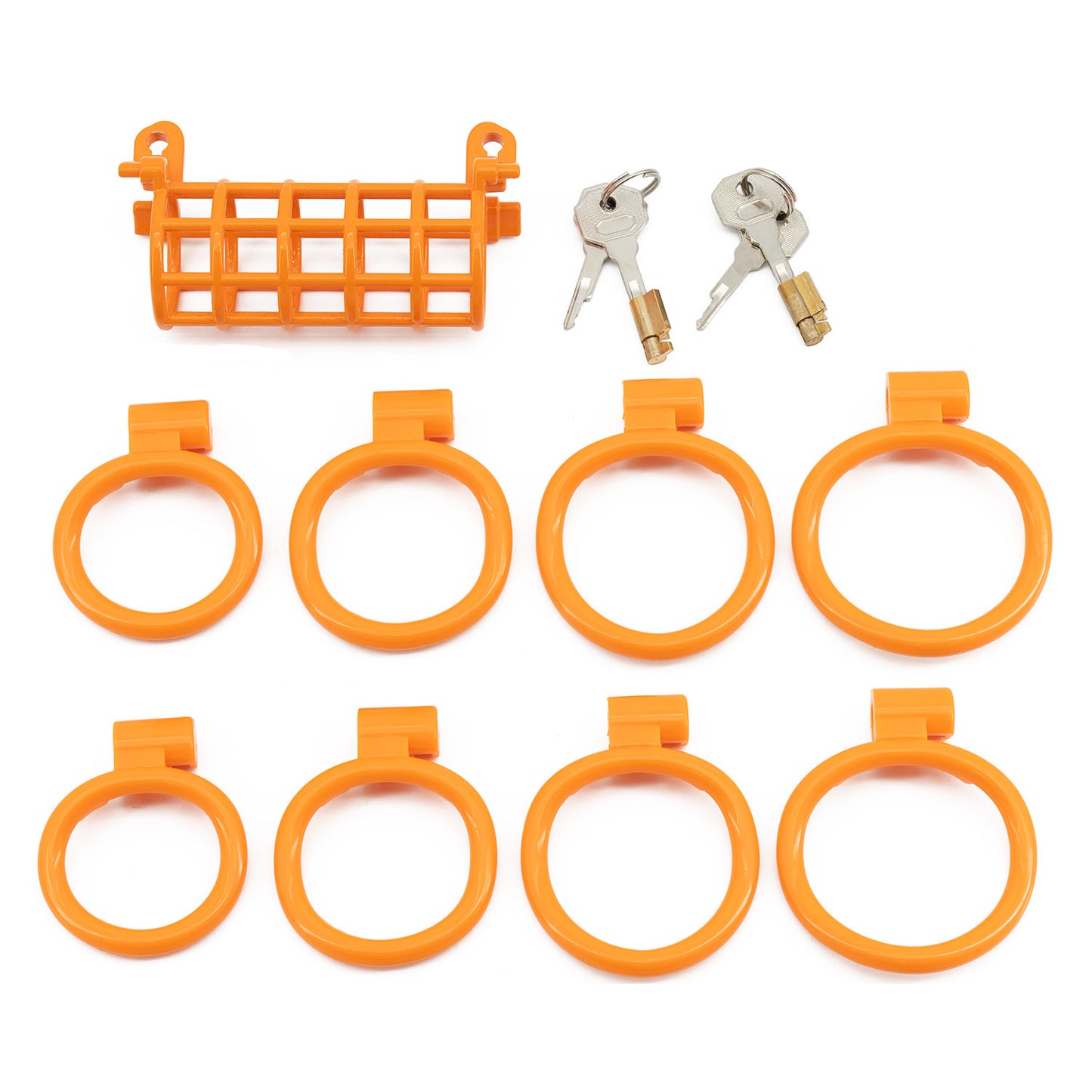 Double chicken cage chastity lock