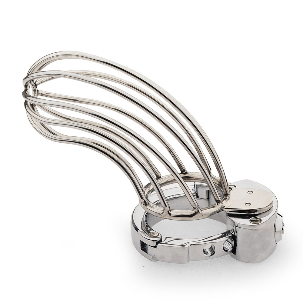 Large Adjustable Metal Male Chastity Cage – Secure Locked Penis Cage with 2 Keys Included, Silver