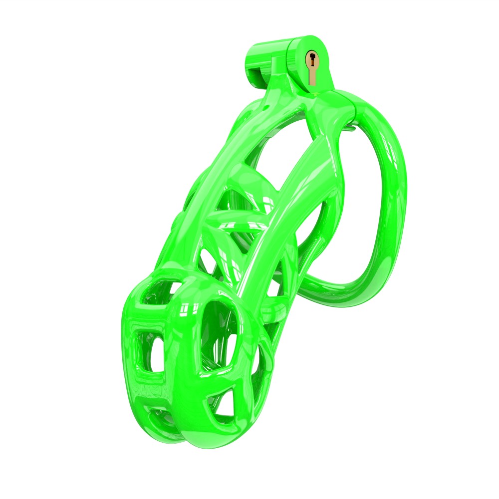 3D Printed Male Chastity Cage with Lock & 5 Rings – Resin Virginity Device for Men