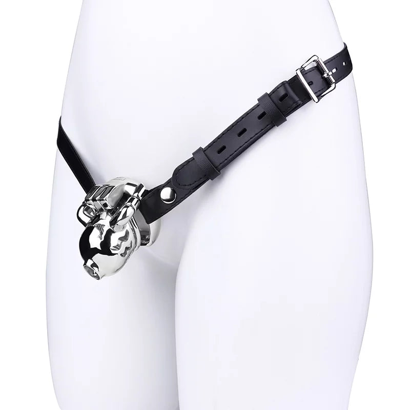 Metal Male Chastity Cage with Prince Albert Lock – Small Size
