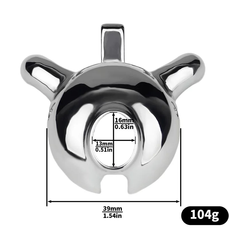 Metal Male Chastity Cage with Prince Albert Lock – Small Size