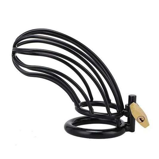 Eyes On Her Prize Cock Cage | Long Metal Chastity Device with 3 Rings & Padlock for BDSM Control