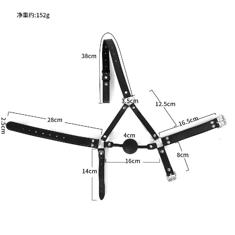 bâillon de tête avec harnais