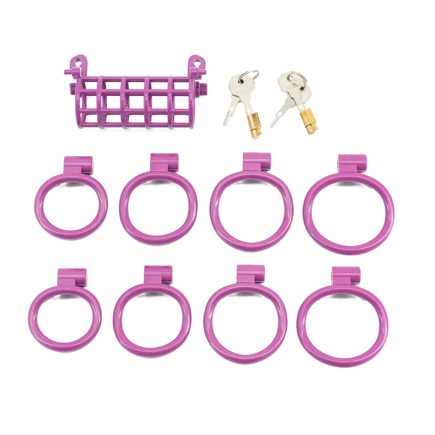 Double chicken cage chastity lock
