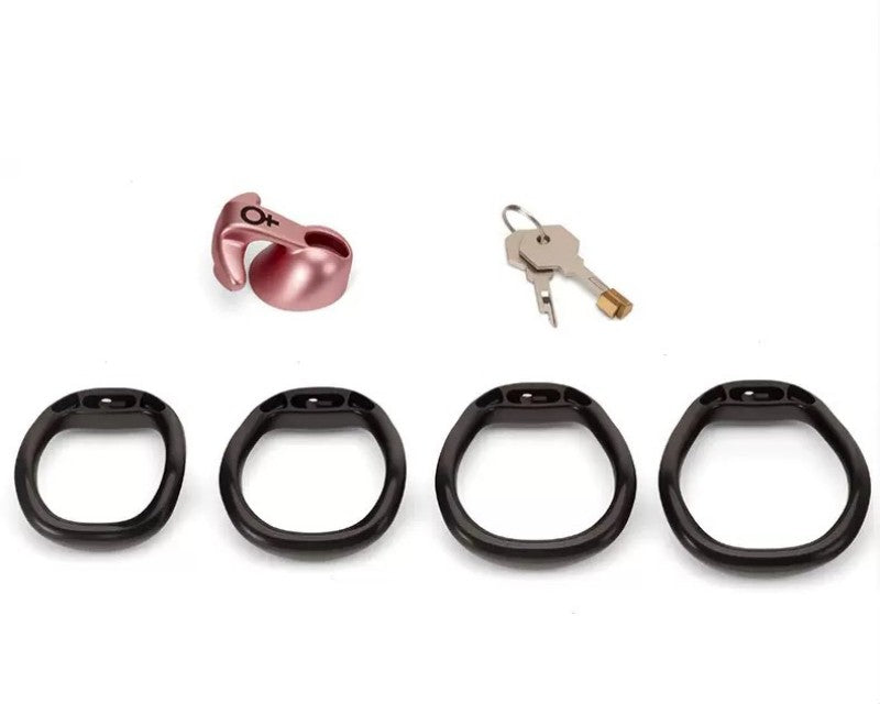 Venus Mini Chastity Cage | Standard & Inverted Options