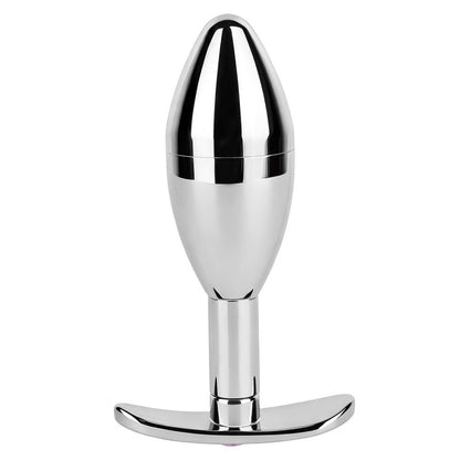 Stainless Steel Hidden Key Box Butt Plug