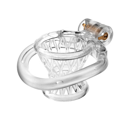 Jaula de castidad invertida para hombres: resina impresa en 3D, entrenamiento para mariquitas, talla pequeña 