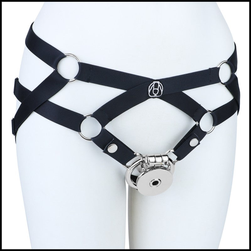 Stainless Steel Inverted Chastity Cage with Removable Insert