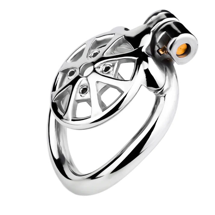 Stainless Steel Cock Torture Device with Removable Spikes | Adjustable Spiked Chastity Cage
