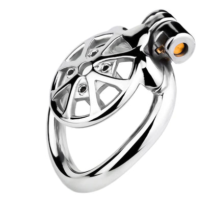 Stainless Steel Cock Torture Device with Removable Spikes | Adjustable Spiked Chastity Cage
