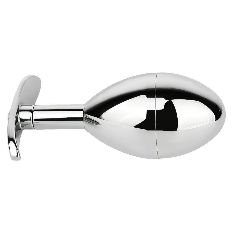 Stainless Steel Hidden Key Box Butt Plug