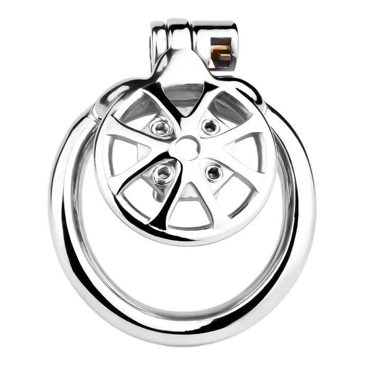 Stainless Steel Cock Torture Device with Removable Spikes | Adjustable Spiked Chastity Cage