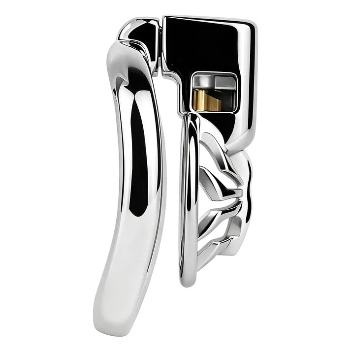 Metal Spider Chastity Cage
