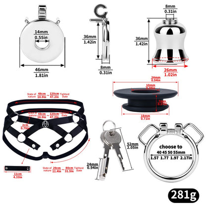 Stainless Steel Inverted Chastity Cage with Removable Insert