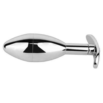 Stainless Steel Hidden Key Box Butt Plug