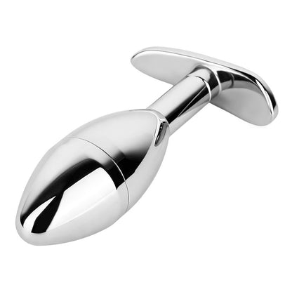 Stainless Steel Hidden Key Box Butt Plug