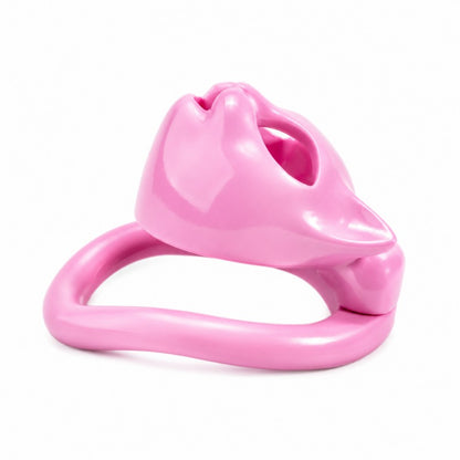 Cat Face Chastity Cage