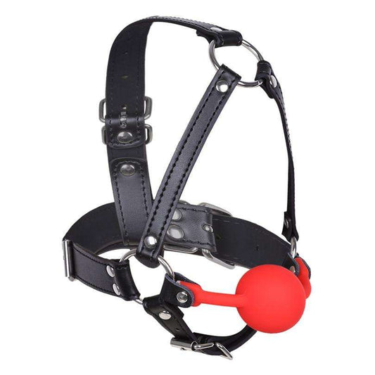 Head Harness mouth gag