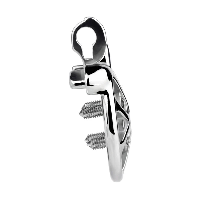 Stainless Steel Cock Torture Device with Removable Spikes | Adjustable Spiked Chastity Cage