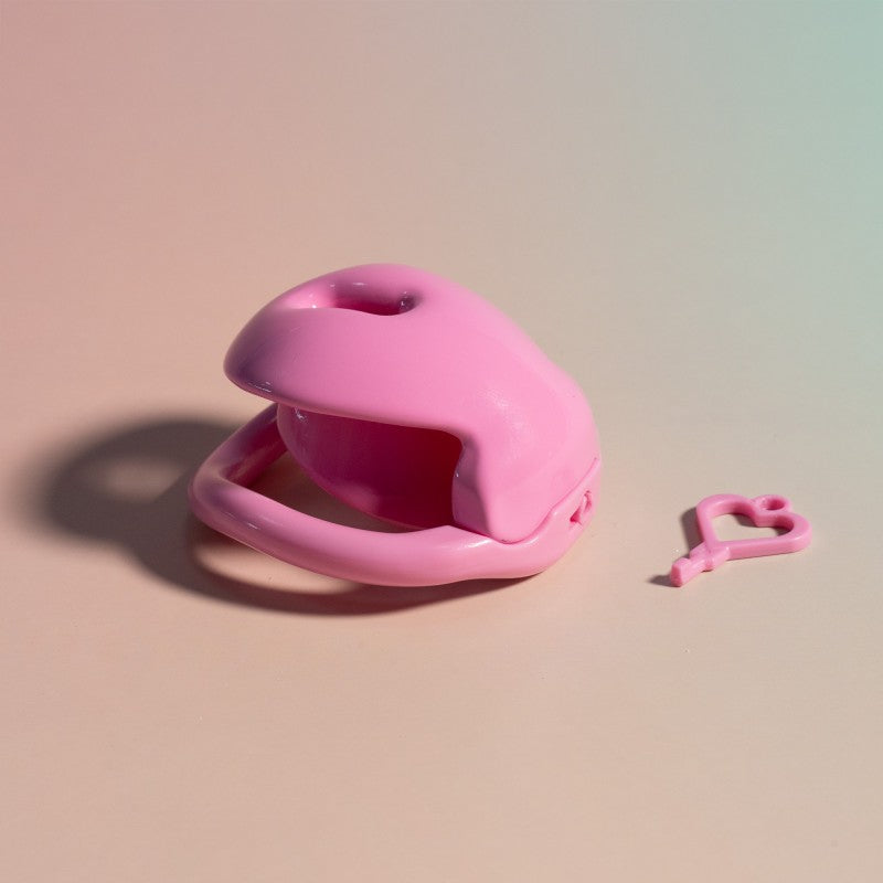 Inverted Chastity Lock – Plastic TSA-Safe, Negative/Positive Sizes