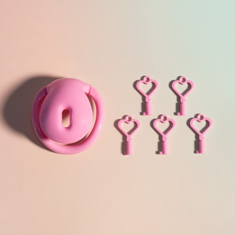 Inverted Chastity Lock – Plastic TSA-Safe, Negative/Positive Sizes