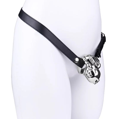 Metal Male Chastity Cage with Prince Albert Lock – Small Size