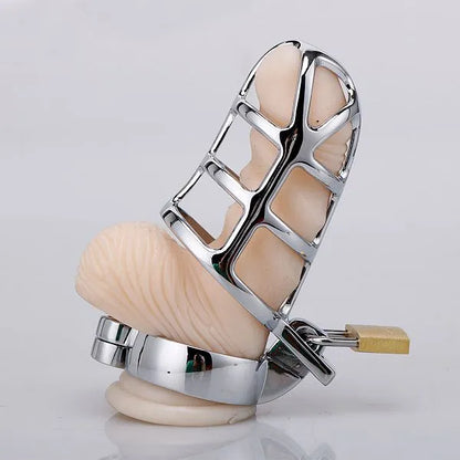 Caught In Her Web Cock Cage | Unique Cobweb-Designed Metal Chastity Cage with Adjustable Rings