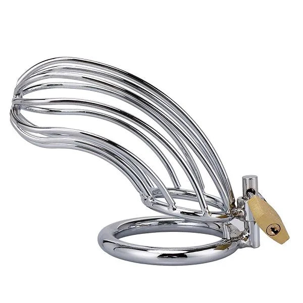 Langer Keuschheitskäfig für Männer | Metall-Peniskäfig im Spinnennetz-Design für BDSM und Kontrollspiele