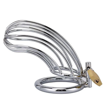 Langer Keuschheitskäfig für Männer | Metall-Peniskäfig im Spinnennetz-Design für BDSM und Kontrollspiele