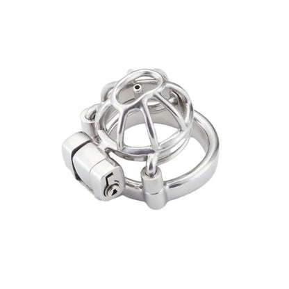 Birdcage Chastity Cage