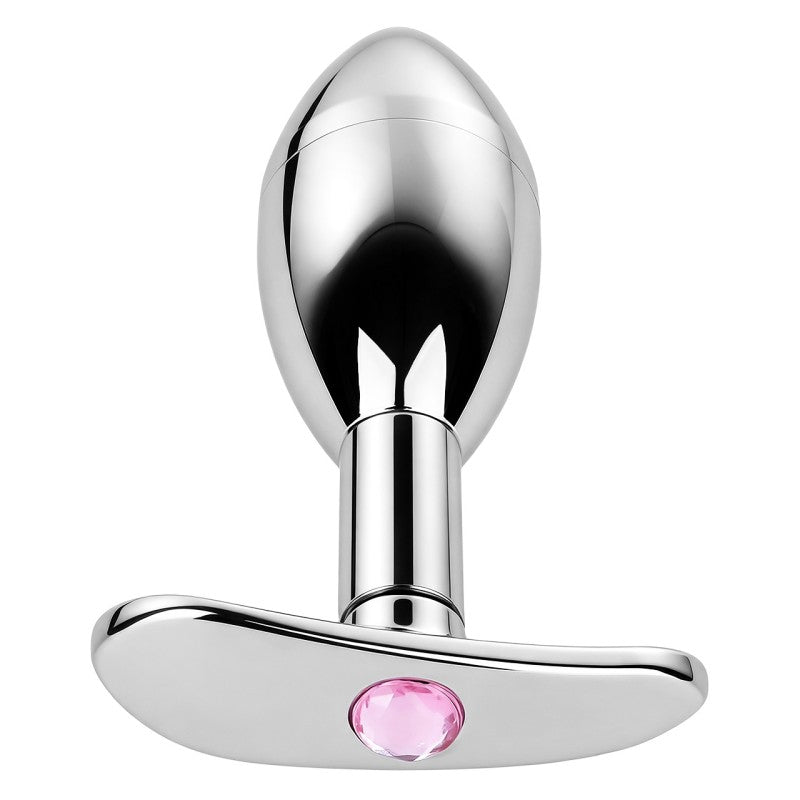 Stainless Steel Hidden Key Box Butt Plug