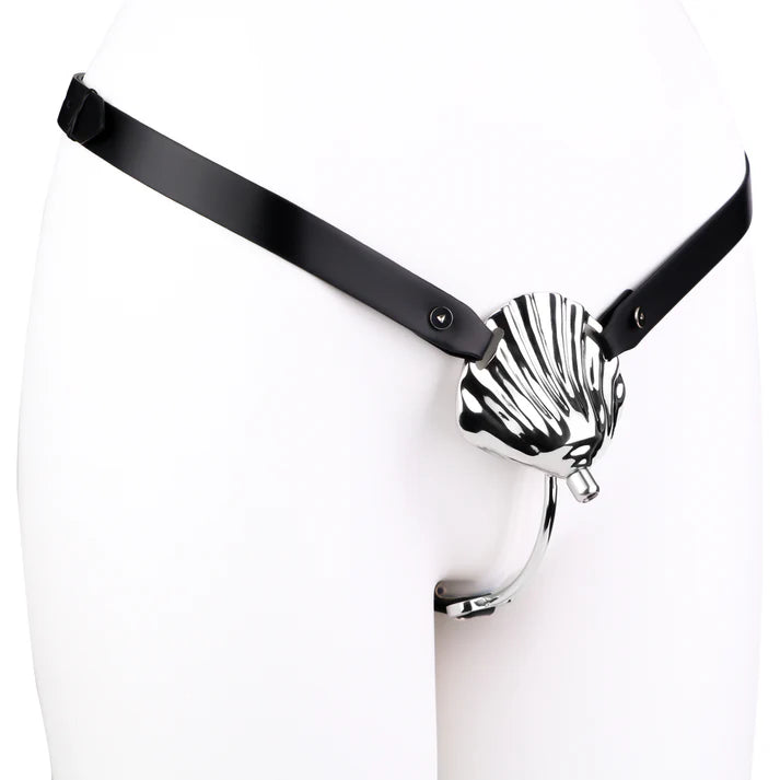Metal Shell Invisible Chastity Cage with Locking Belt