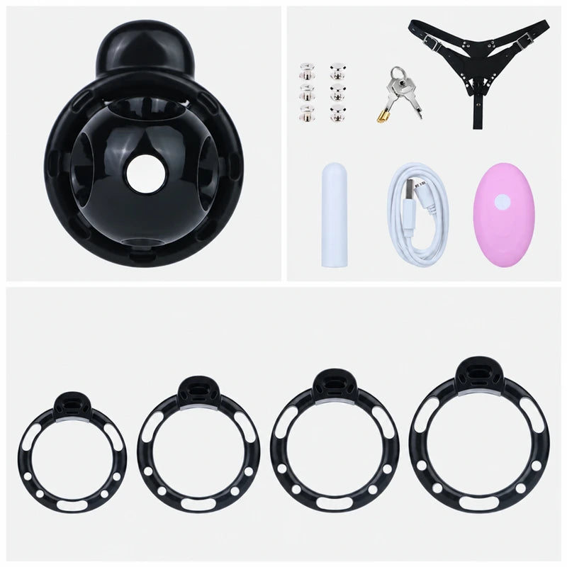 Black chastity cage set with four base rings, a black three-way belt, detachable vibrator, pink remote, charging cable, metal fasteners, padlock and two keys.
