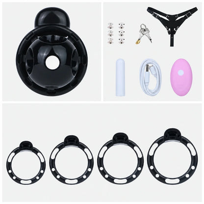 Black chastity cage set with four base rings, a black three-way belt, detachable vibrator, pink remote, charging cable, metal fasteners, padlock and two keys.