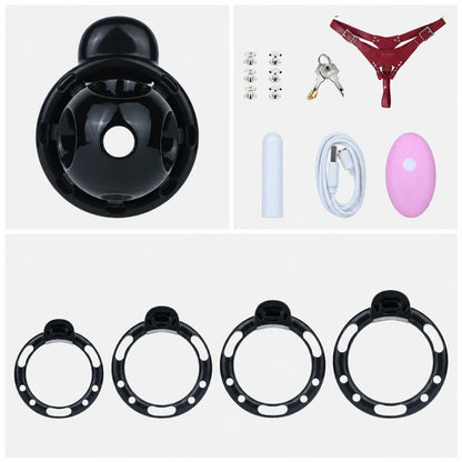 Black chastity cage set with four base rings, a red three-way belt, detachable vibrator, pink remote, charging cable, metal fasteners, padlock and two keys.