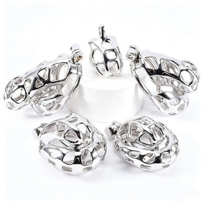 Stainless steel cage sizes shown together for comparison