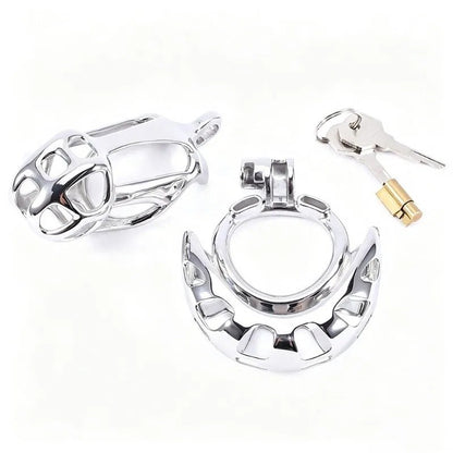 Cage, one base ring and locking components laid out