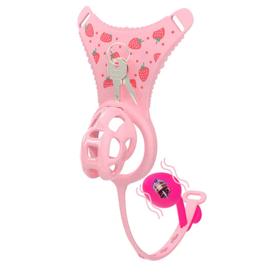 Upgraded Cobra Chastity Cage With Underwear & Plug – Complete Locked Set